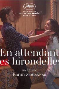  Когда вернутся птицы (2017) 