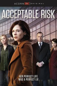  Допустимый риск (2017) 
