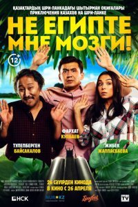  Не египте мне мозги! (2018) 