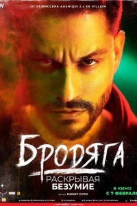 Бродяга: Раскрывая безумие (2020)