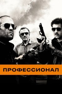  Профессионал (2011) 