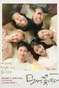  Песчаный цветок (2023) 