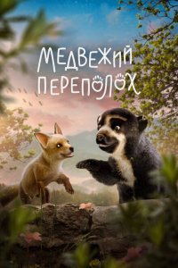 Медвежий переполох (2023) 