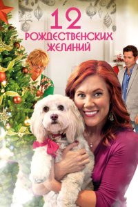  12 Рождественских желаний (2011) 