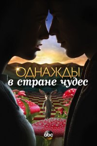  Однажды в стране чудес (2013) 