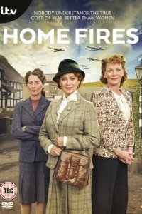 Домашние очаги (2015)