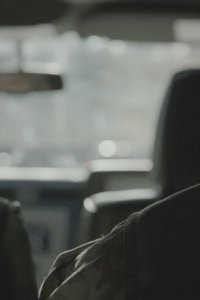 Местный Герой (2016)