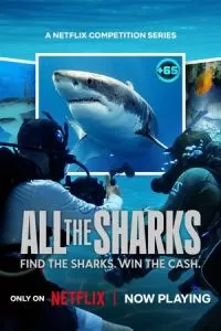 Все акулы 1 сезон