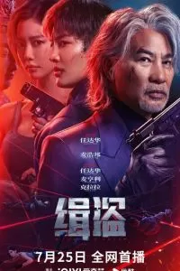 Поймать воров (2025)